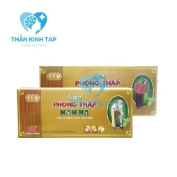 Hoàn Phong Thấp Nam Hà - Thuốc đặc trị các bệnh phong tê thấp